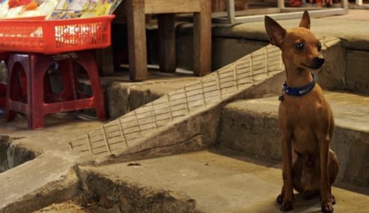 ベトナムはこれが普通？【ハプニング６選】