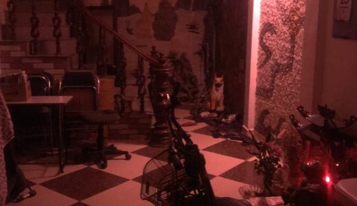 ベトナムのローカル家紹介！【家賃や部屋は？】